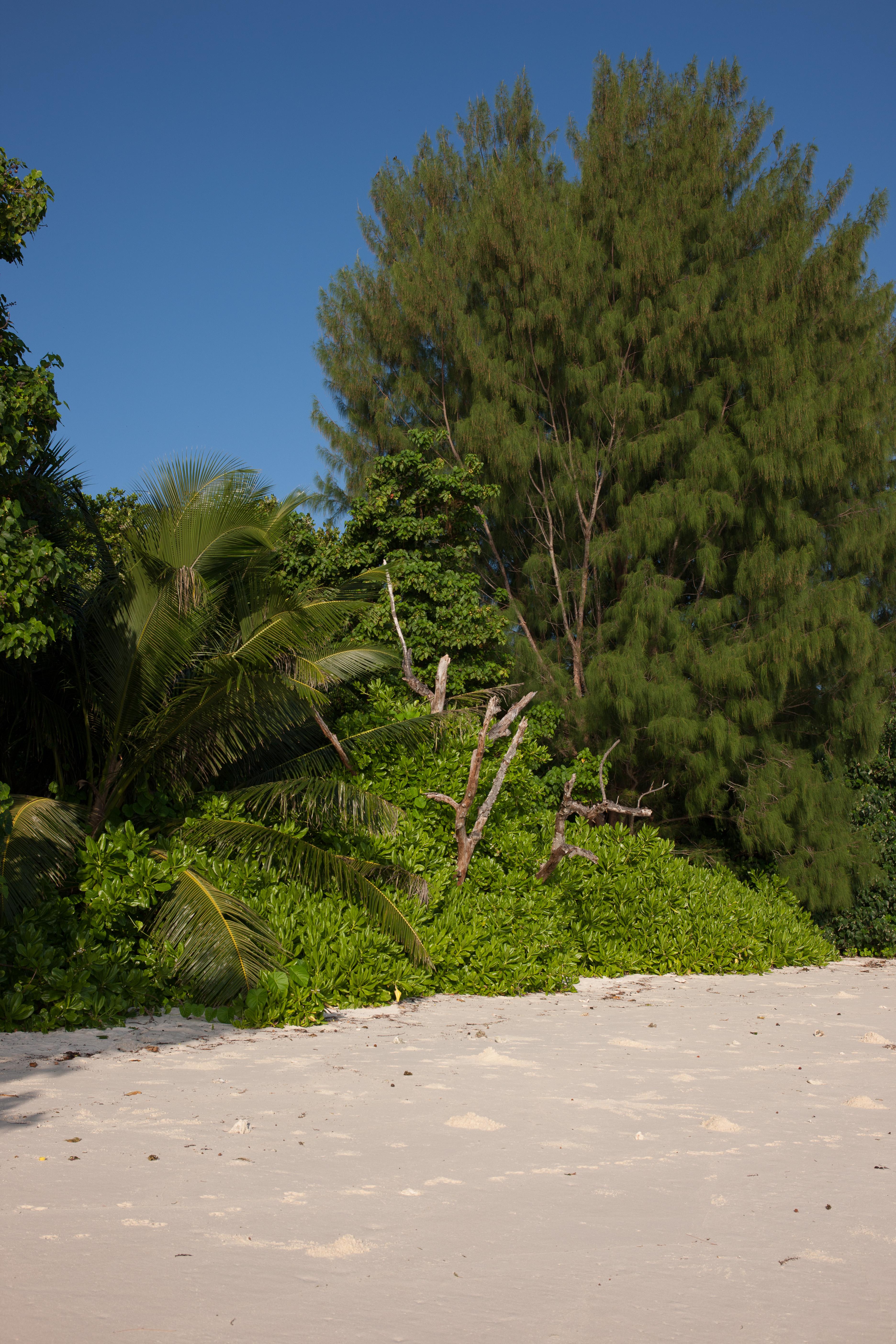 Le Relax Luxury Lodge (Adults Only) La Digue Kültér fotó